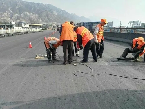 岑溪道路桥梁病害治理